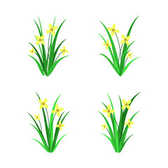 Collection of various illustrations of flowering plants