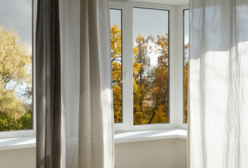 Window frame, view from the window  on yellow trees, landscape with autumn forest.