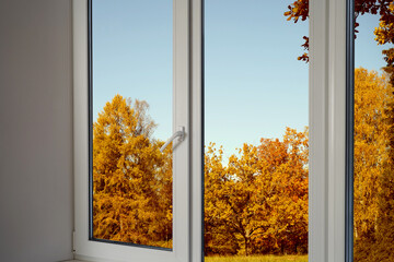 Window frame, view from the window  on yellow trees, landscape with autumn forest.