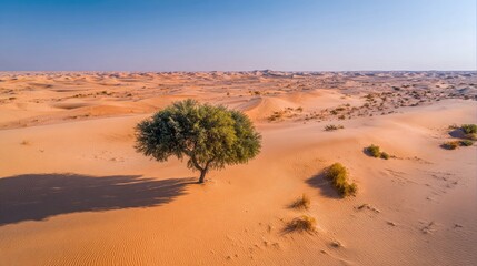Golden sand dunes in the Sahara Desert with rolling hills, sunlight patterns, and vast desert landscape isolated on white background