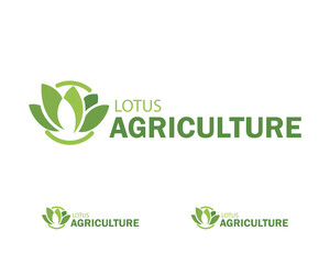 lotus agriculture logo creative design concept nature gym yoga health life