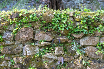 Mossy stones on the ruined walls of a medieval castle, romantic fantasy texture