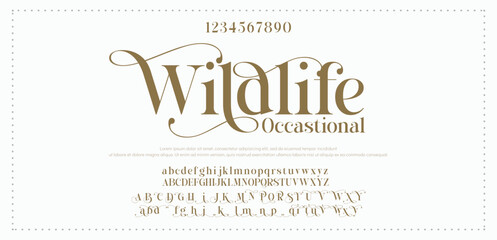 Luxury wedding alphabet font. Typography decorative elegant classic lettering serif fonts vintage retro for logo. vector illustration
