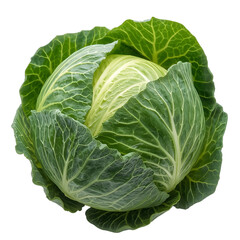 Obraz premium Fresh green cabbage head vegetable healthy food ingredient isolated shot on transparent background