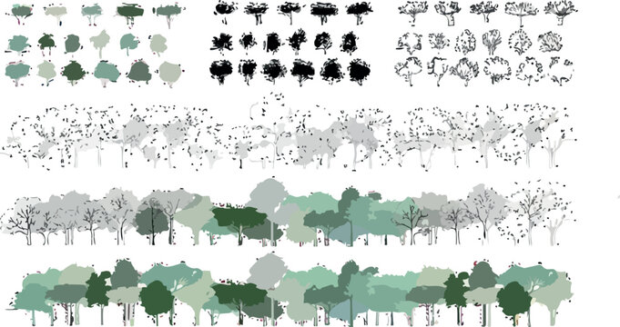 Tree Elevation and Plan Architectural Drawings | Set of Trees for Landscape Design Plans, Illustrations and Architecture Visualization