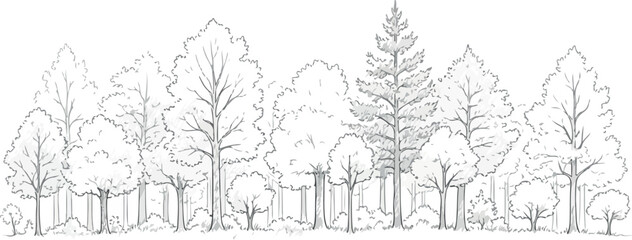 Obraz premium Hand Drawn Forest Illustration with Trees Sketch | Woodland Landscape for Backgrounds and Nature-Themed Designs
