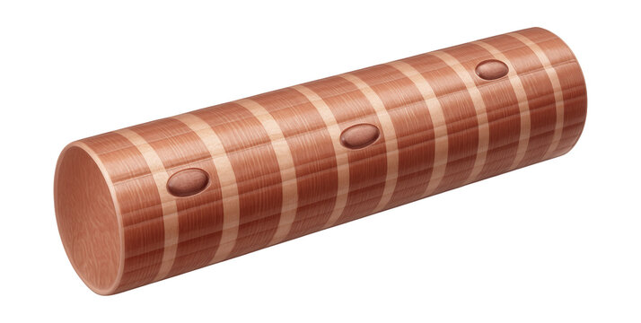 Longitudinal view of skeletal muscle fiber with striations and multiple nuclei.