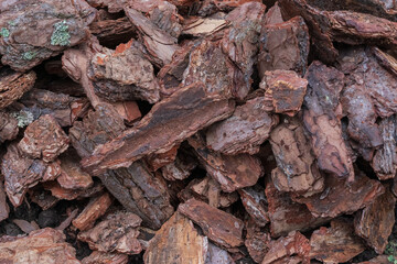 Fototapeta premium Natural pine bark mulch used for garden decoration and soil protection. Eco-friendly organic material ideal for landscaping and horticulture design projects.