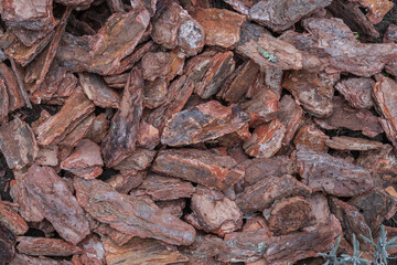 Natural pine bark mulch used for garden decoration and soil protection. Eco-friendly organic material ideal for landscaping and horticulture design projects.