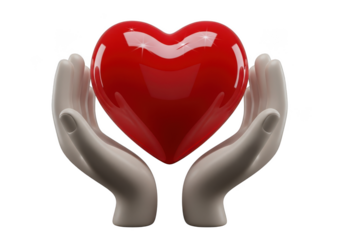 Two hands holding a large red heart isolated on transparent background