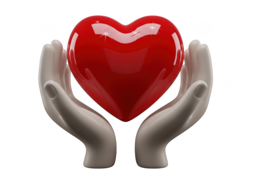 Two hands holding a large red heart isolated on transparent background