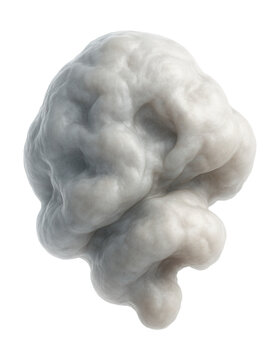 Asymmetric single ribosomal subunit with a smooth, complex structure.