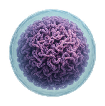 Nucleus featuring notable nucleoplasm and partially compacted chromatin.