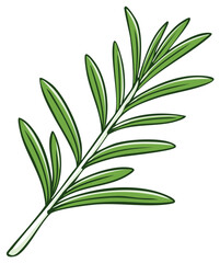 Fototapeta premium Stylized Rosemary Sprig Illustration: Bright Green Leaves and Branch for Culinary Herbs