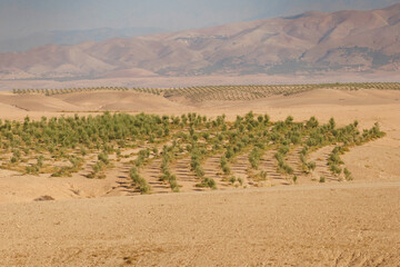 Désert d'Agafay (Maroc)