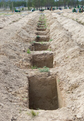 new graves at cemetery
