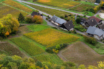 An aerial view of row of vineyard in French alps in Savoie region with small village of viticulture, golden color nature during autumn