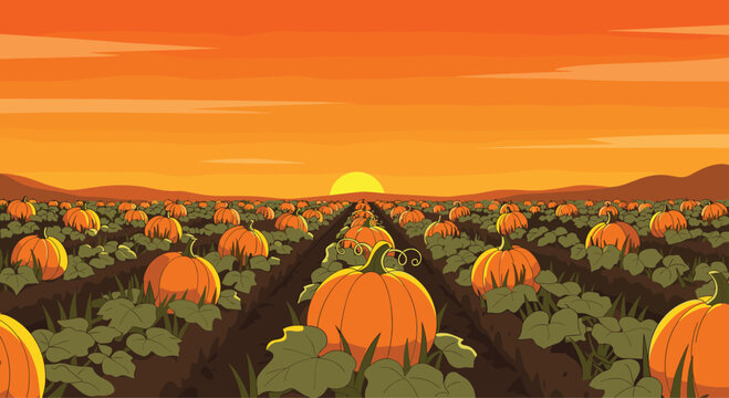 Vibrant pumpkin patch bathed in golden sunset light, evoking autumn harvest abundance and festive spirit