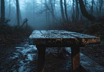 A weathered wooden picnic table in a misty forest clearing with wet ground and foggy trees in the background