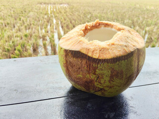 Refreshing Tropical Young Coconut Drink on a Table with Blurred Indonesian Rice Field Background
