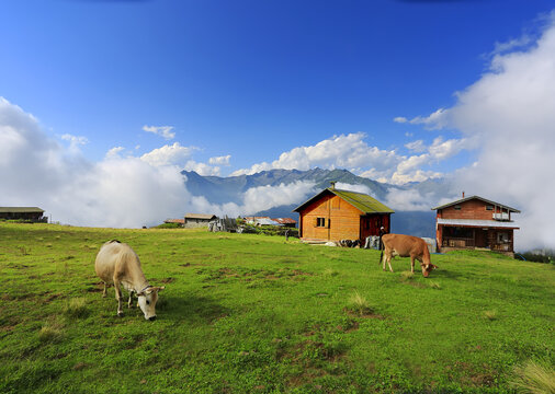 Elevit Plateau in Rize. This plateau . Kackar Mountains region. Rize, Turkey