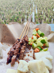 Savory Skewered Meat and Pickles with Traditional Rice Cakes Against a Rural View