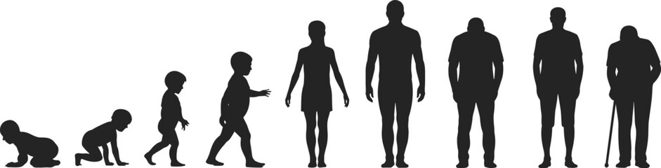 Human life stages silhouette showing growth from baby to old age, childhood, adulthood, aging, evolution, timeline, development, lifecycle concept.