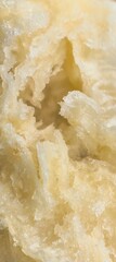 Lighttoned textured food closeup reveals intricate folds