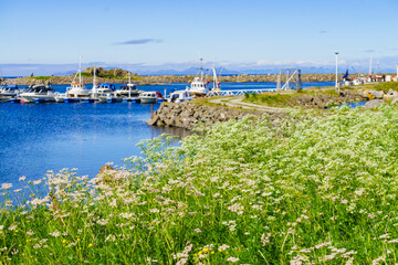 Fishing port in Hovsund Lofoten Norway