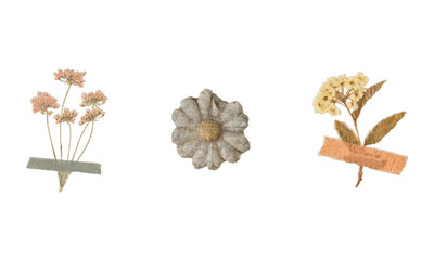 Botanical Flower Collection With Tape, Vintage Dried Floral Set on Transparent Background Illustration Vector. Minimal vintage flower collection with tape. Hand-drawn botanical elements for collage