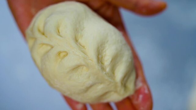 Pyanse, pigodi or Wangmandu steamed pie, dumpling stuffed with cabbage and meat