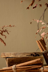 Front view of wood podium, branch leaves and cinnamon, suggesting nature-inspired calm and elegance. Blank space for display product with autumn concept