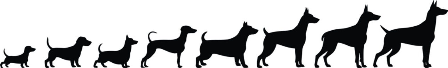 Silhouette of growing dog evolution stages from puppy to adult, isolated on white background, symbolizing pet growth, development, and life cycle.
