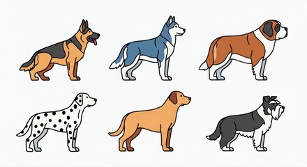 Fototapeta premium various dog breeds illustration