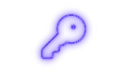 Digital security access key, solution, password icon vector set. Outline digital security key Icon on transparent background vector image.