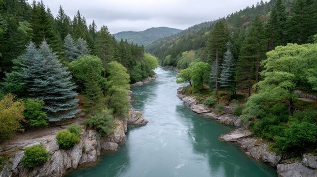 Scenic Turquoise River Winds Through Lush Green Pine Forested Mountains Under a Cloudy Overcast Sky Landscape