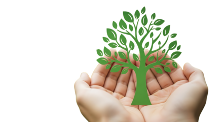 Green paper tree with leaves held in cupped hands, isolated on a white or transparent background, cutout, PNG