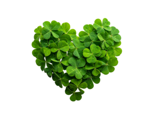 heart shaped green leaves, heart of four leaf clovers isolated on transparent background, four leaf clovers heart cut out with copy space for text, PNG file