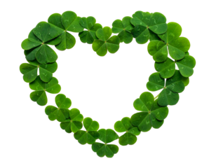 st patrick day, heart of green clovers isolated on transparent background
