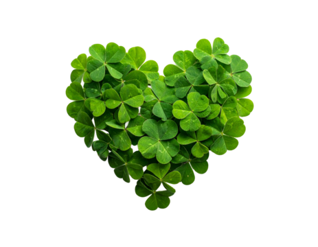 heart shaped green leaves, heart of four leaf clovers isolated on transparent background, four leaf clovers heart cut out with copy space for text, PNG file