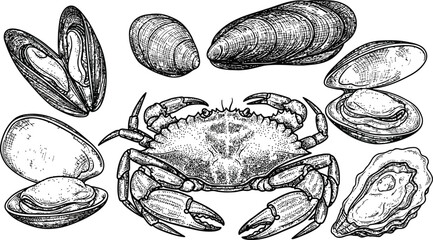 Dark textured crab and various shellfish including mussels and clams on a black background for seafood concepts © Ishtiaq