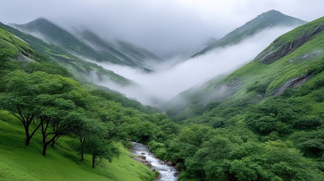 Misty Mountain Range Lush Green Forest Valley with Gentle Stream and Overcast Sky in Early Morning Light