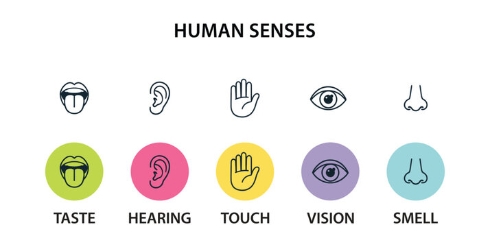 Human senses icon set. Vision eye, smell nose, hearing ear, touch hand, taste mouth with tongue. Simple line icons and black circle. Five senses of human nervous system. Vector illustration.