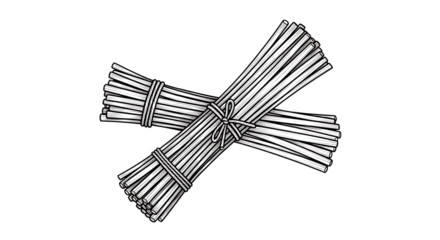 Two Bundles of Thin Dry Straw Tied with Twine in a Cross Shape, isolated on a white or transparent background, cutout, PNG