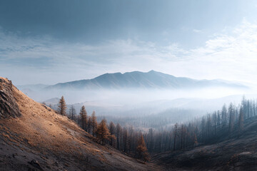 A serene landscape featuring mountains shrouded in mist. Hillsides show burnt trees. A visual metaphor for resilience. Ideal for environmental or recovery themes.