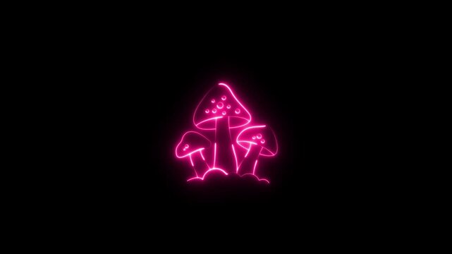 Neon glowing mushroom icon 4k video animation on black background. Mushroom grow in the forest sign.Glowing neon pink color psilocybin mushroom icon animation. 4K Video motion animation.