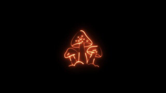 Neon glowing mushroom icon 4k video animation on black background. Mushroom grow in the forest sign.Glowing neon orange color psilocybin mushroom icon animation. 4K Video motion animation.