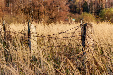Rusty barbed wire fence strung between weathered concrete posts amidst a field of golden, dry autumn grass, hinting at neglect or a forgotten boundary