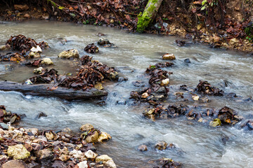 Turbid creek water gushes over stones and autumn leaves. A log obstructs the swift current,...