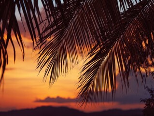 Vibrant Tropical Sunset Silhouettes Palm Fronds against Fiery Orange and Purple Sky Warm Evening Light Illuminating Exotic Landscape Dusk Horizon Scenic View